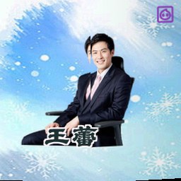 王蕾